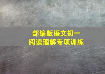 部编版语文初一阅读理解专项训练