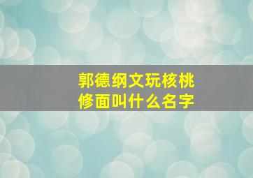 郭德纲文玩核桃修面叫什么名字