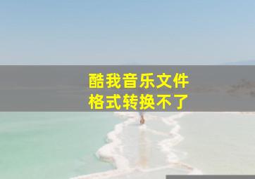 酷我音乐文件格式转换不了