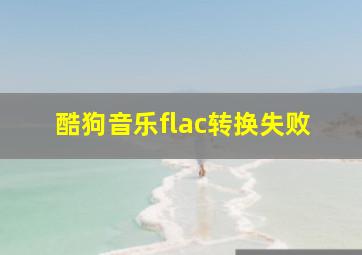 酷狗音乐flac转换失败