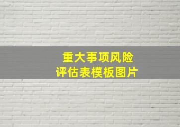 重大事项风险评估表模板图片