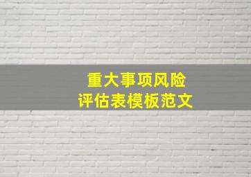 重大事项风险评估表模板范文