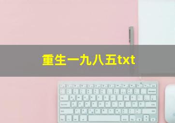 重生一九八五txt