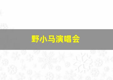 野小马演唱会