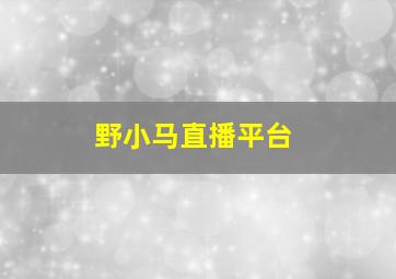 野小马直播平台