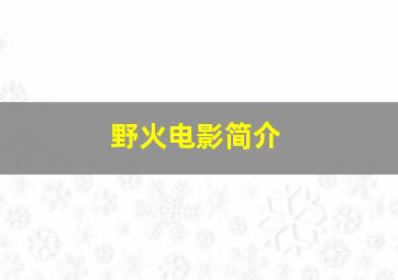 野火电影简介