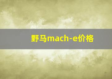 野马mach-e价格