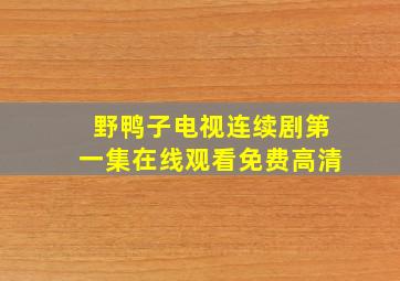 野鸭子电视连续剧第一集在线观看免费高清