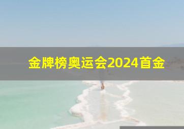 金牌榜奥运会2024首金