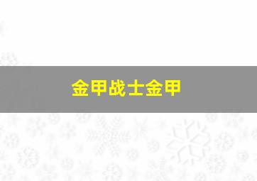 金甲战士金甲