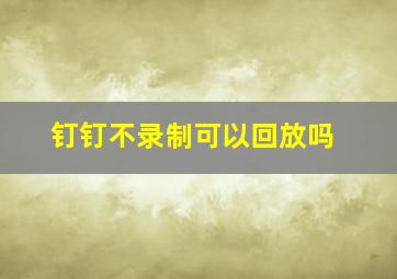 钉钉不录制可以回放吗