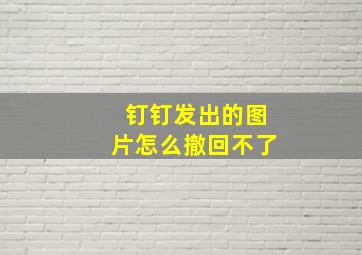 钉钉发出的图片怎么撤回不了