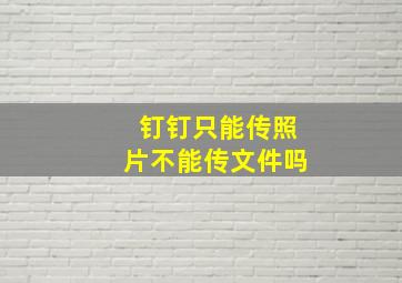 钉钉只能传照片不能传文件吗