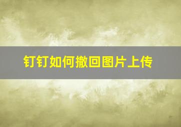 钉钉如何撤回图片上传