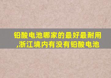 铅酸电池哪家的最好最耐用,浙江境内有没有铅酸电池