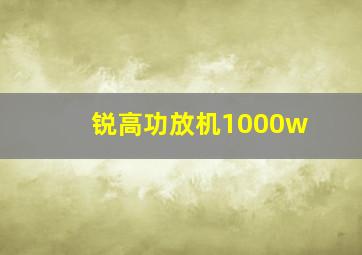 锐高功放机1000w