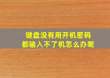 键盘没有用开机密码都输入不了机怎么办呢