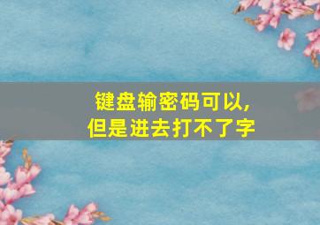 键盘输密码可以,但是进去打不了字