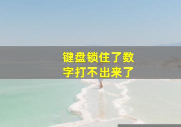 键盘锁住了数字打不出来了