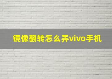 镜像翻转怎么弄vivo手机