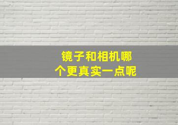 镜子和相机哪个更真实一点呢