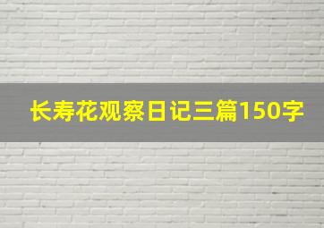 长寿花观察日记三篇150字