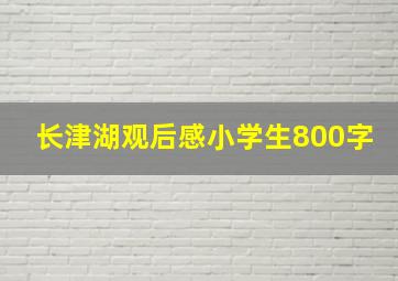 长津湖观后感小学生800字