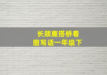 长颈鹿搭桥看图写话一年级下