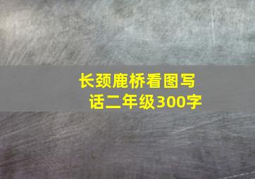 长颈鹿桥看图写话二年级300字