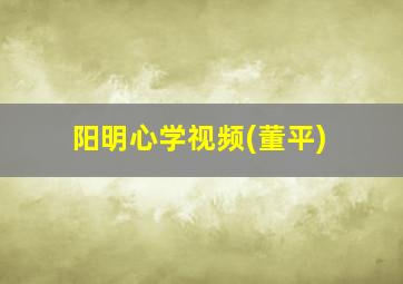 阳明心学视频(董平)