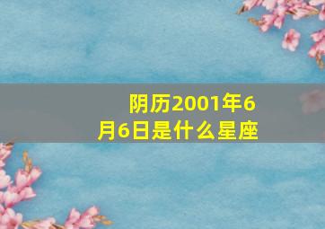 阴历2001年6月6日是什么星座