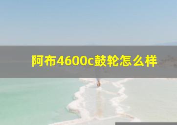 阿布4600c鼓轮怎么样