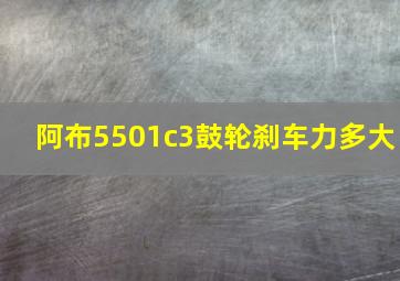 阿布5501c3鼓轮刹车力多大