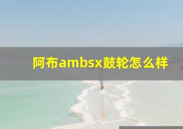 阿布ambsx鼓轮怎么样