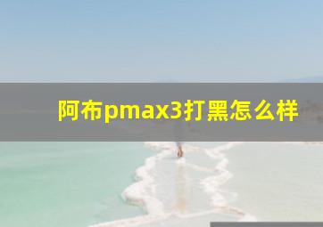 阿布pmax3打黑怎么样