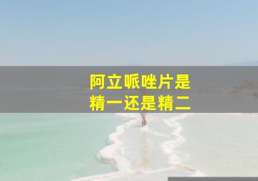 阿立哌唑片是精一还是精二