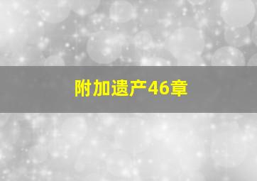 附加遗产46章