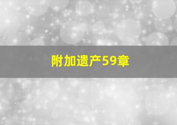 附加遗产59章