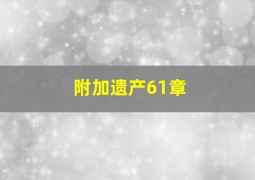 附加遗产61章