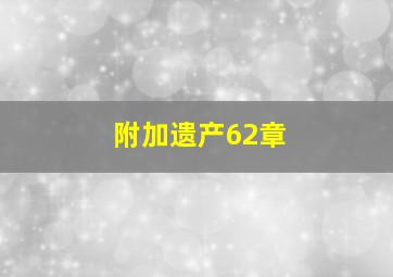 附加遗产62章