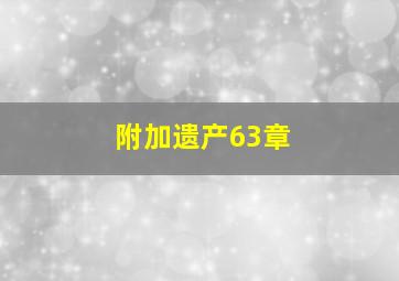 附加遗产63章