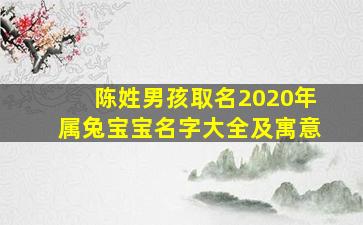 陈姓男孩取名2020年属兔宝宝名字大全及寓意