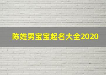 陈姓男宝宝起名大全2020