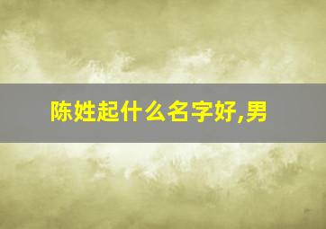 陈姓起什么名字好,男