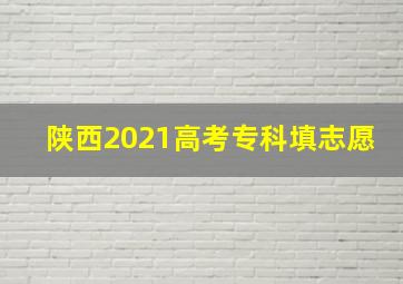 陕西2021高考专科填志愿