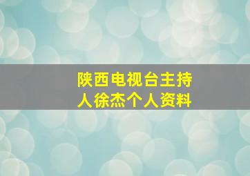 陕西电视台主持人徐杰个人资料