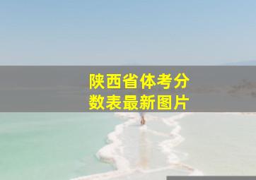 陕西省体考分数表最新图片