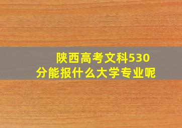 陕西高考文科530分能报什么大学专业呢