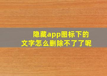 隐藏app图标下的文字怎么删除不了了呢