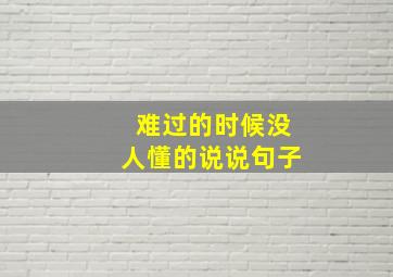 难过的时候没人懂的说说句子